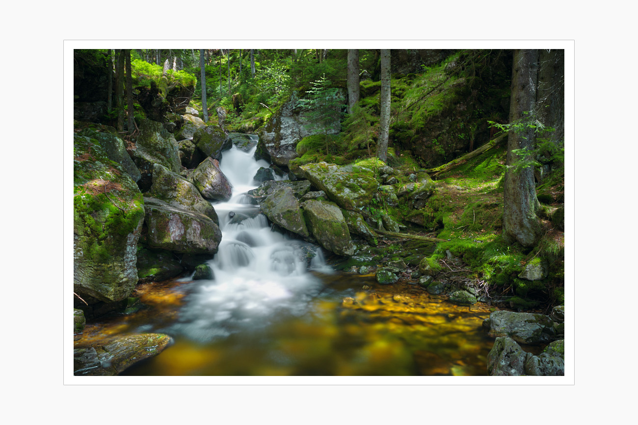 Max Schiefele Alle Bilder  DS10095